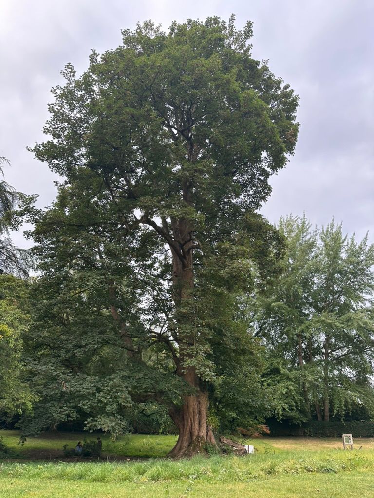 The Way of the Circle Part 2