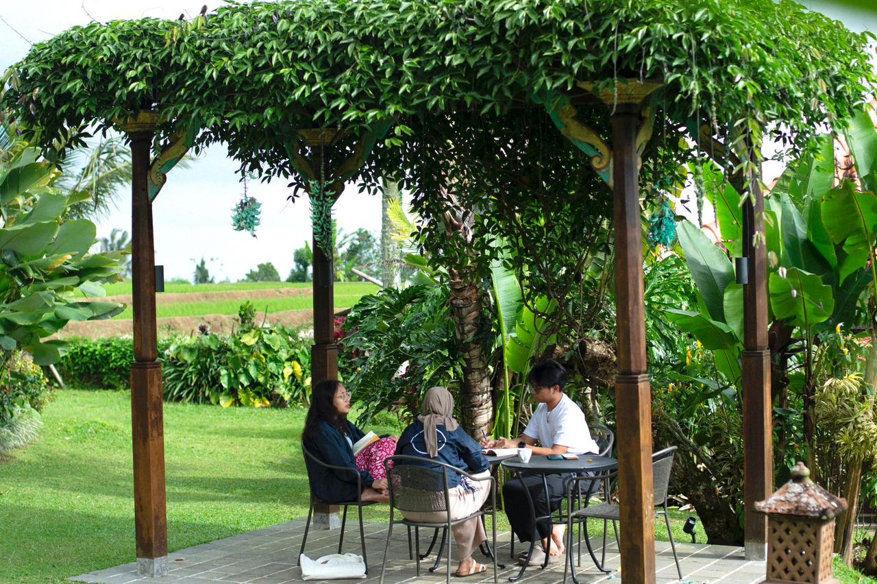 Why Linkara Chooses to Move Slowly in a Fast-Paced Year